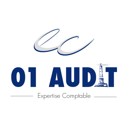 01 AUDIT